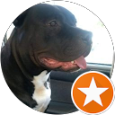 goodboy I see you profile picture